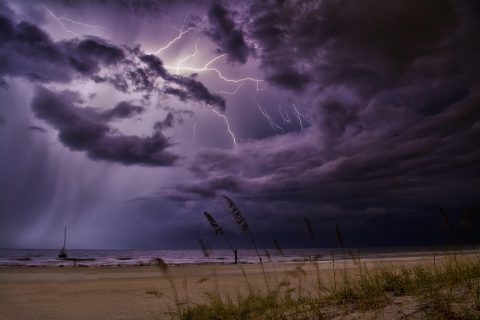Hurricane Isaias: What’s Driving the Surge in U.S. Searches